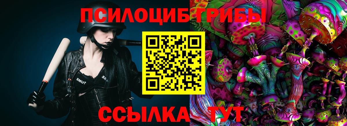 Серов  Галлюциногенные грибы Psilocybe  даркнет сайт  Вход с VPN 